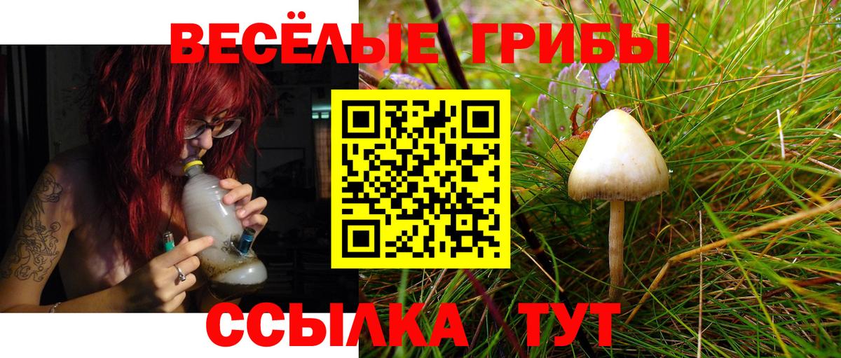 Псилоцибиновые грибы Magic Shrooms Астрахань