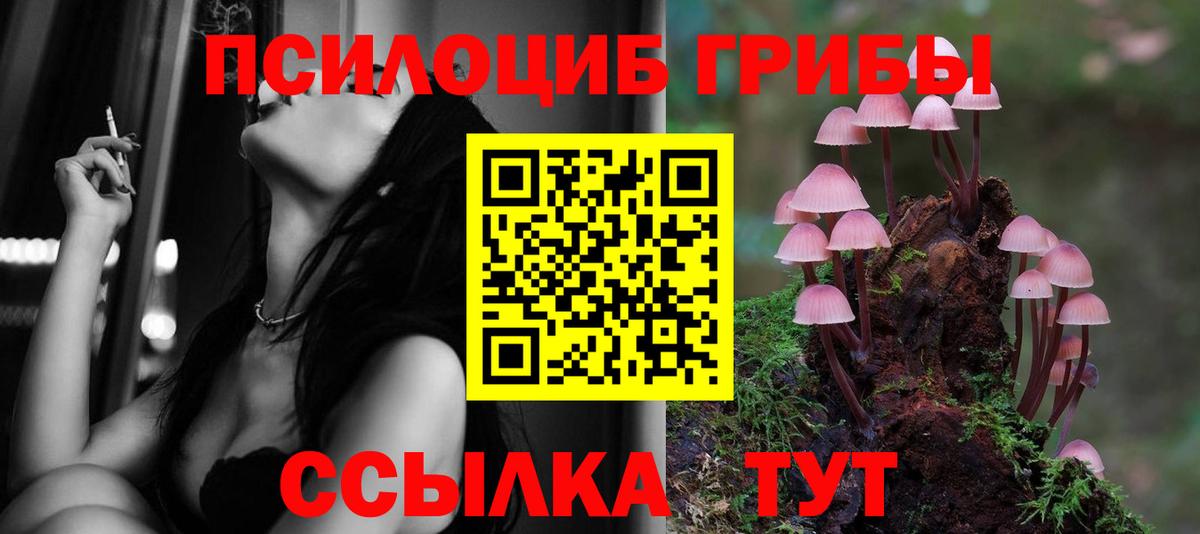 Галлюциногенные грибы Cubensis  наркота  Астрахань  Вход с VPN 