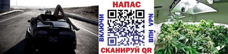 Каннабис планчик Астрахань